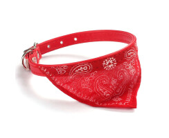 Halsband mit Tuch rot 23cm-28cm f&uuml;r Welpen, kleine Hunde, Katzen