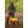 SHOOTERKING Huntflex Jacke Digital Camo Forest Mist Damen