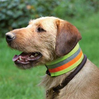 Reflektierendes Halsband für Hunde Halsweite: 55 cm | Breite: 7 cm