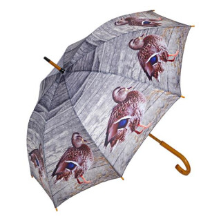 Regenschirm Enten
